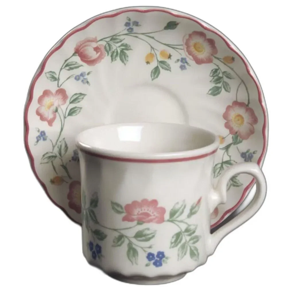 Briar Rose by Churchill Flat Cup & Saucer Set Staffordshire England